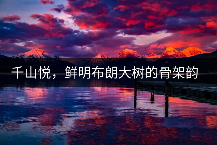 千山悅，鮮明布朗大樹的骨架韻味