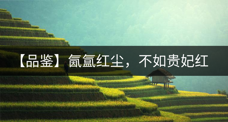 【品鑒】氤氳紅塵，不如貴妃紅一盞