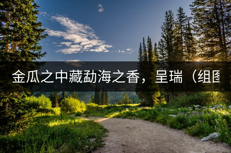 金瓜之中藏勐海之香，呈瑞（組圖）