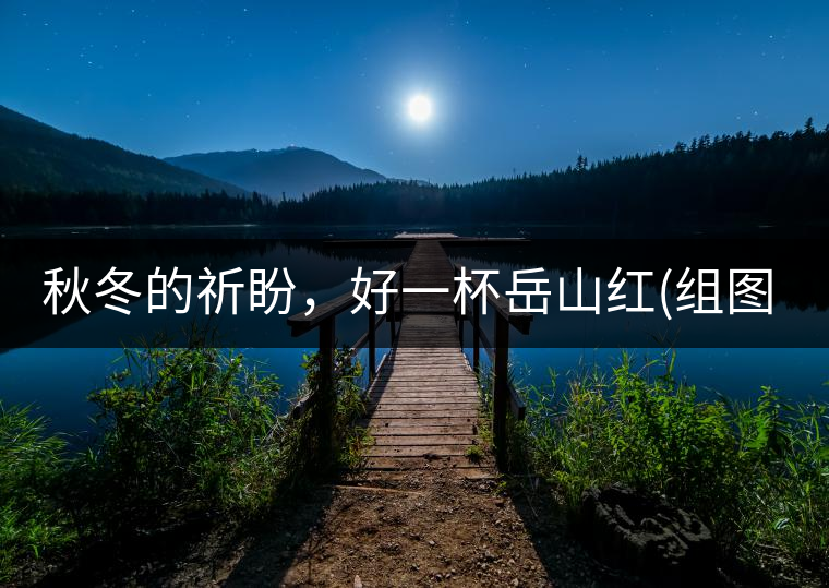 秋冬的祈盼，好一杯岳山紅(組圖)