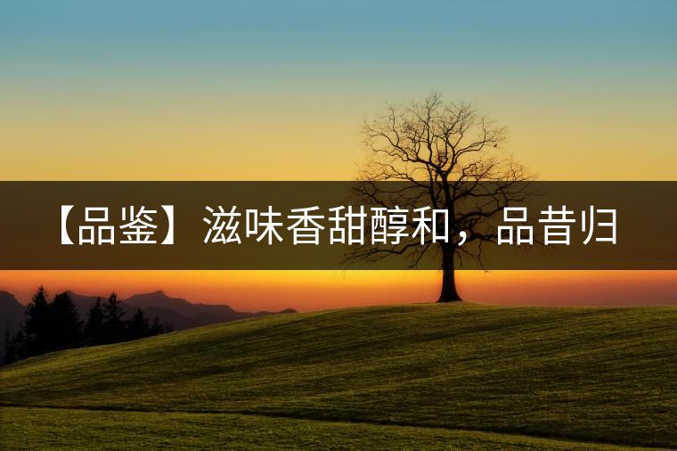 【品鑒】滋味香甜醇和，品昔歸古樹黃片