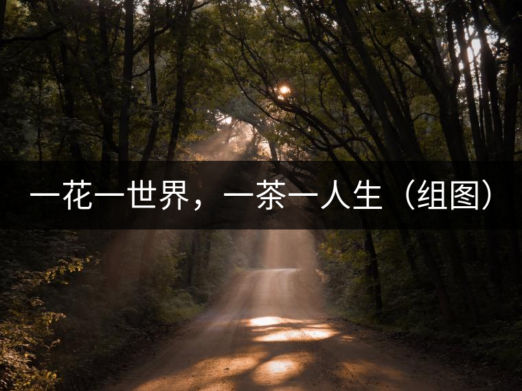 一花一世界，一茶一人生（組圖）
