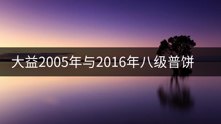 大益2005年與2016年八級普餅權威品鑒 大益2005年與2016年八級普餅權威品鑒