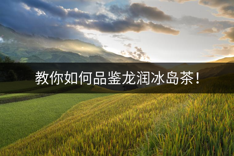 教你如何品鑒龍潤冰島茶！