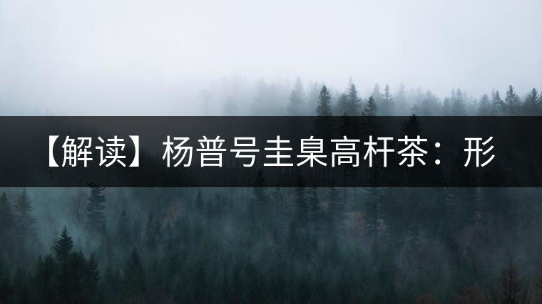 【解讀】楊普號(hào)圭臬高桿茶：形高、氣足、韻遠(yuǎn)的一款茶
