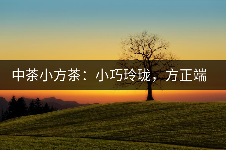 中茶小方茶：小巧玲瓏，方正端莊
