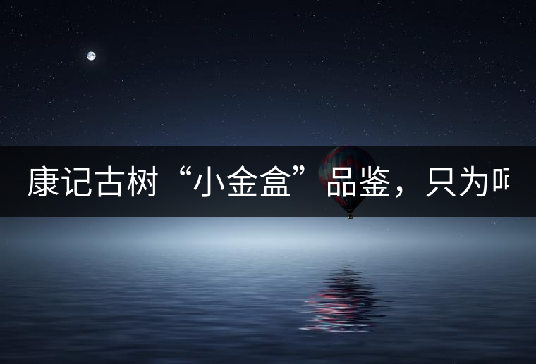 康記古樹(shù)“小金盒”品鑒，只為呵護(hù)您的味蕾！