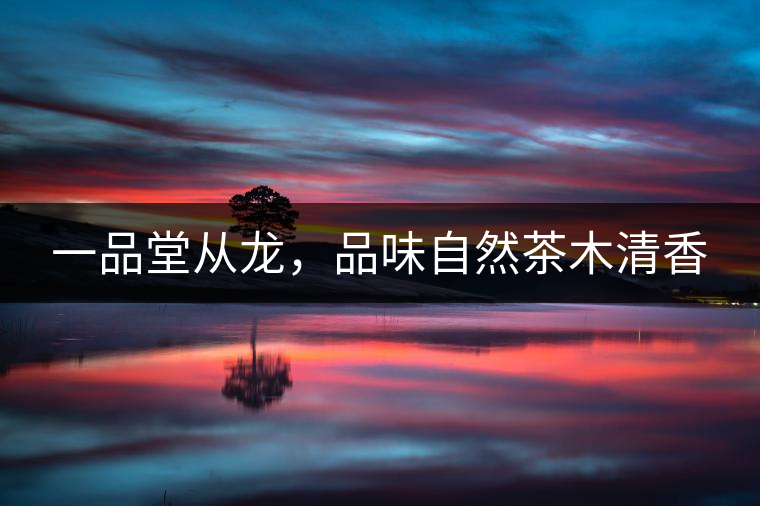 一品堂從龍，品味自然茶木清香