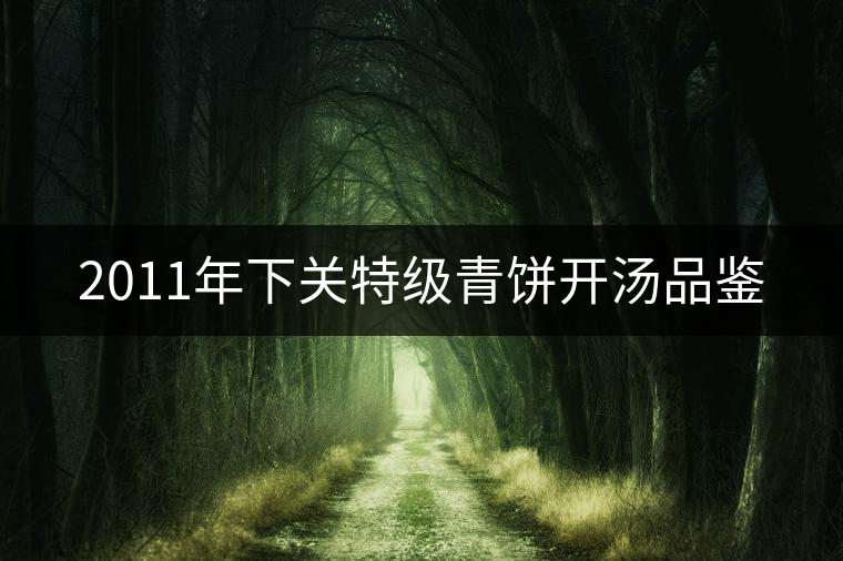 2011年下關(guān)特級青餅開湯品鑒 2011年下關(guān)特級青餅開湯品鑒