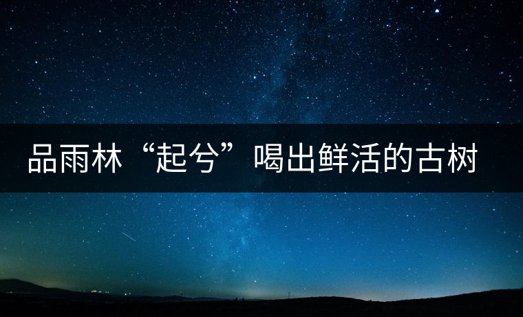 品雨林“起兮”喝出鮮活的古樹(shù)茶滋味