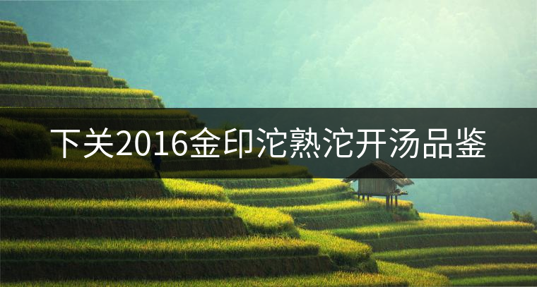 下關(guān)2016金印沱熟沱開湯品鑒 下關(guān)2016金印沱熟沱開湯品鑒