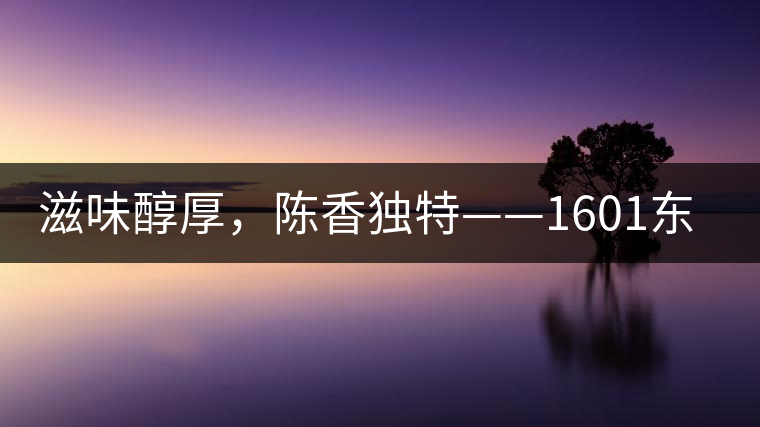 滋味醇厚，陳香獨特——1601東方美韻品鑒