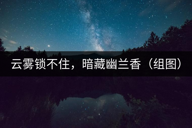 云霧鎖不住，暗藏幽蘭香（組圖）