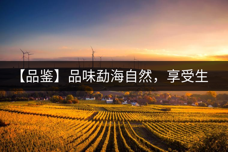 【品鑒】品味勐海自然，享受生活醇香