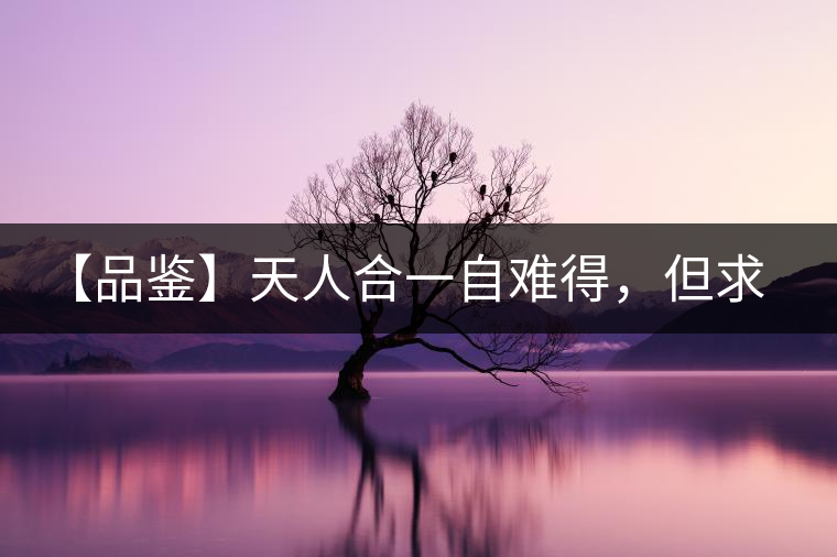 【品鑒】天人合一自難得，但求得茶之本味