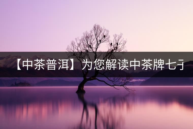 【中茶普洱】為您解讀中茶牌七子餅茶—7451(熟茶) 【中茶普洱】為您解讀中茶牌七子餅茶—7451(熟茶)