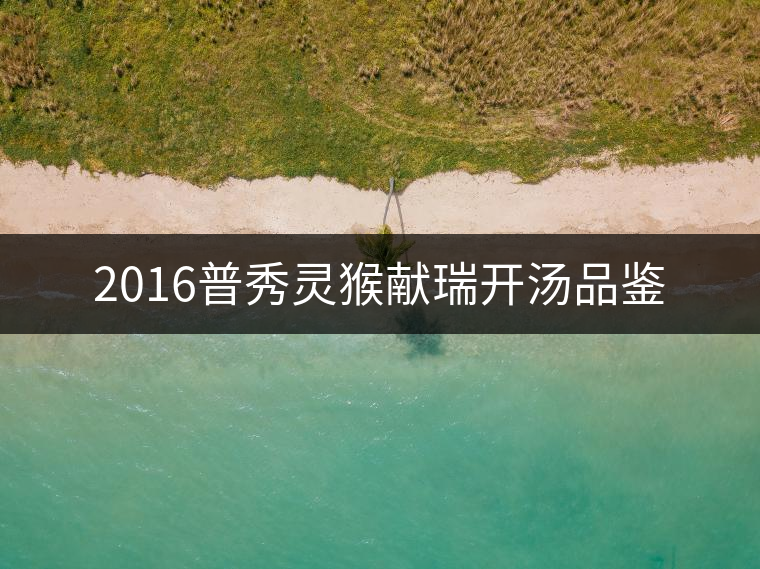 2016普秀靈猴獻(xiàn)瑞開(kāi)湯品鑒 2016普秀靈猴獻(xiàn)瑞開(kāi)湯品鑒