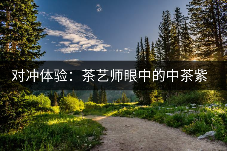 對沖體驗:茶藝師眼中的中茶紫茗紅茶 對沖體驗:茶藝師眼中的中茶紫茗紅茶