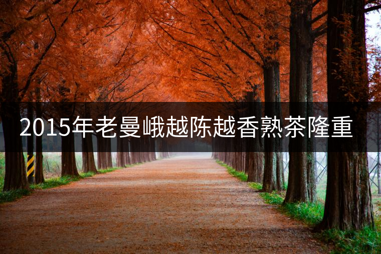 2015年老曼峨越陳越香熟茶隆重上市！