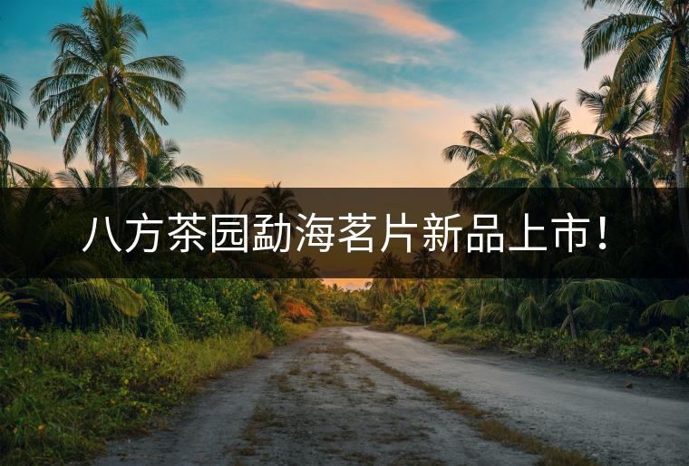 八方茶園勐海茗片新品上市！