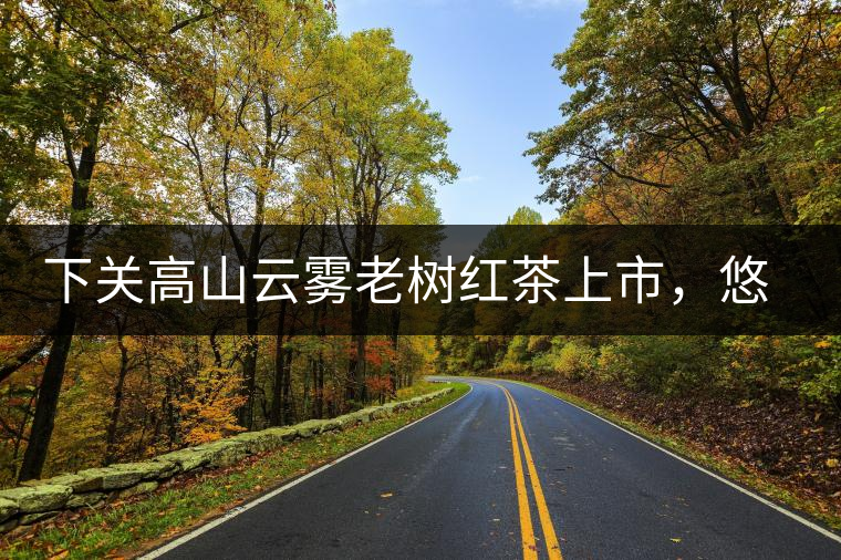 下關(guān)高山云霧老樹紅茶上市，悠悠春茶香