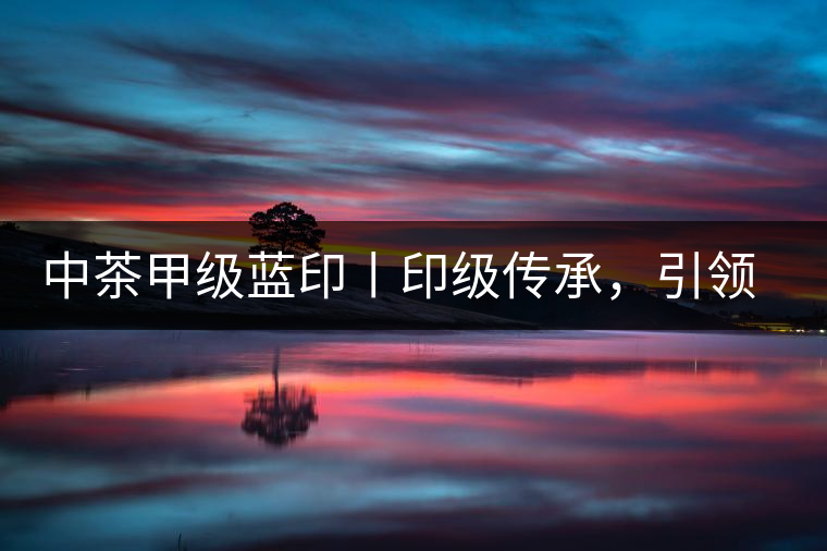 中茶甲級藍印丨印級傳承，引領(lǐng)風(fēng)韻
