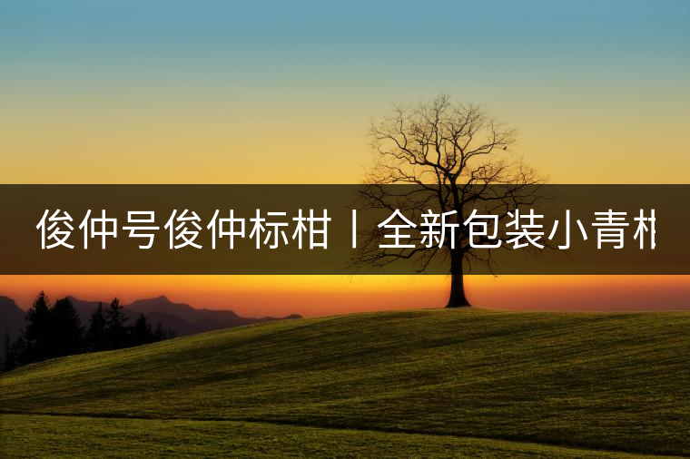 俊仲號(hào)俊仲標(biāo)柑丨全新包裝小青柑震撼上市！