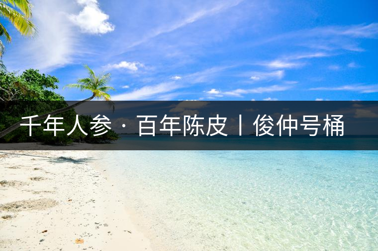 千年人參 · 百年陳皮丨俊仲號桶裝柑普茶豈止于大！