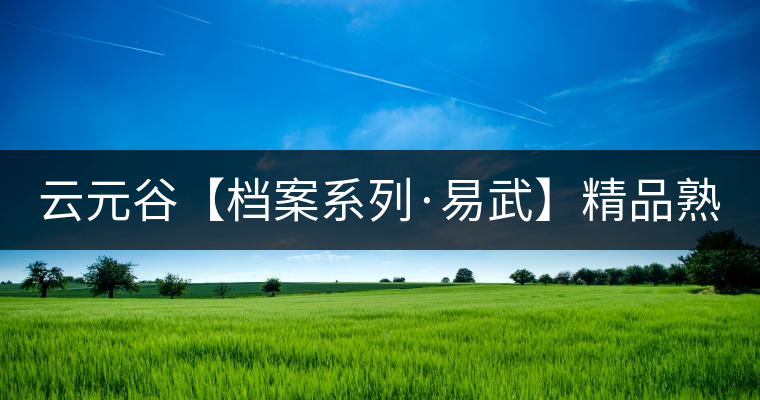 云元谷【檔案系列·易武】精品熟茶，精裝上市！