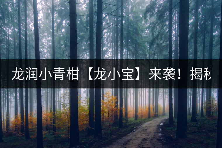 龍潤小青柑【龍小寶】來襲！揭秘它的前半生！