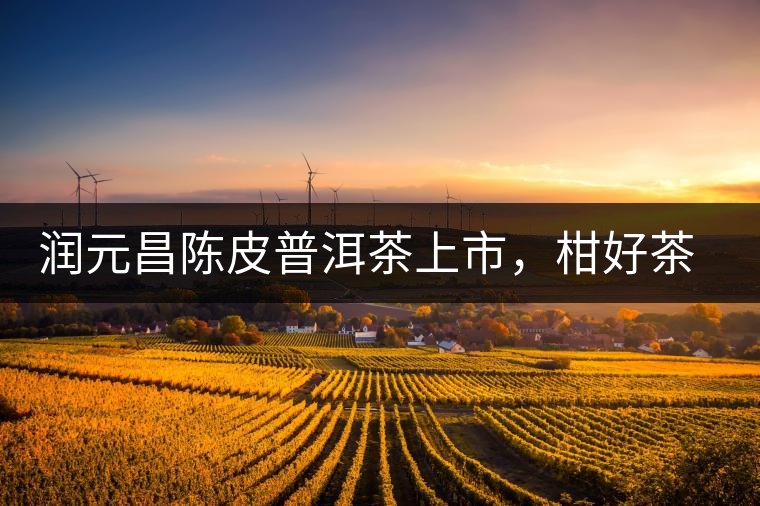 潤元昌陳皮普洱茶上市，柑好茶更好，精品普洱茶