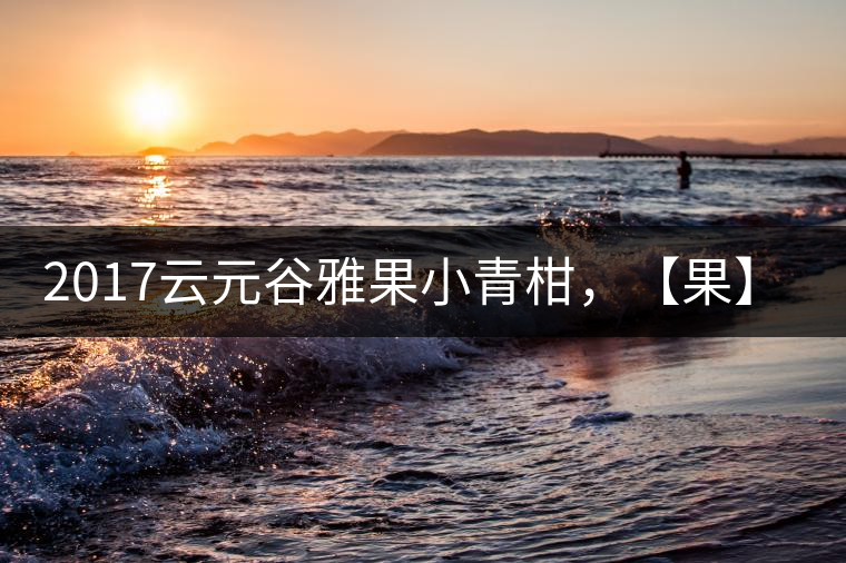 2017云元谷雅果小青柑，【果】真來了