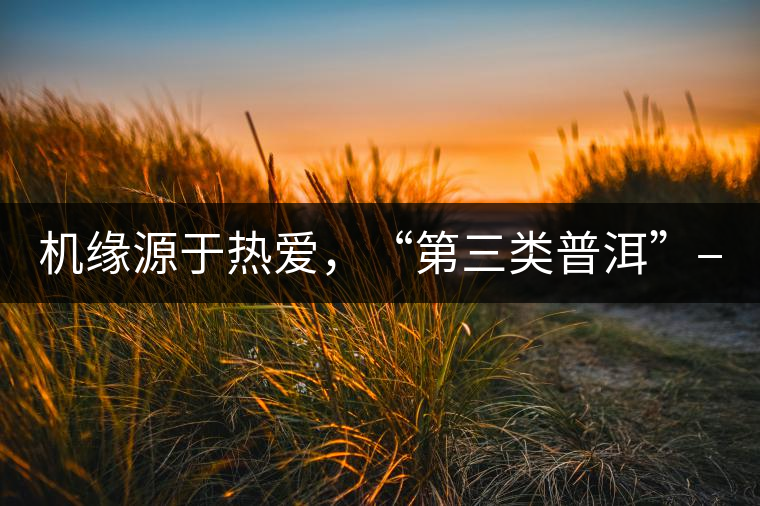機(jī)緣源于熱愛，“第三類普洱”——“散壓茶TM”的誕生。