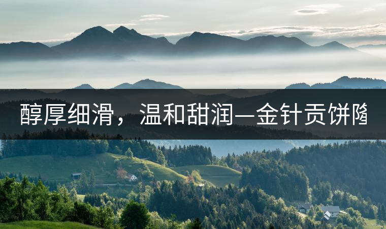醇厚細滑，溫和甜潤—金針貢餅隆重上市！