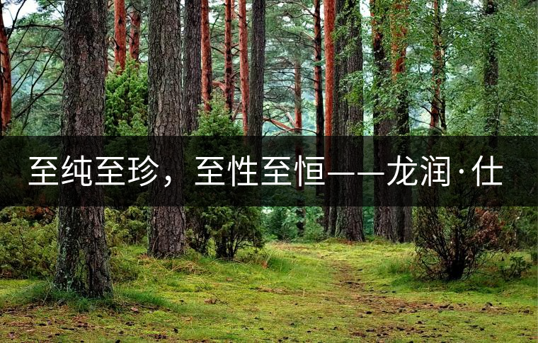 至純至珍，至性至恒——龍潤·仕通茶新上市！