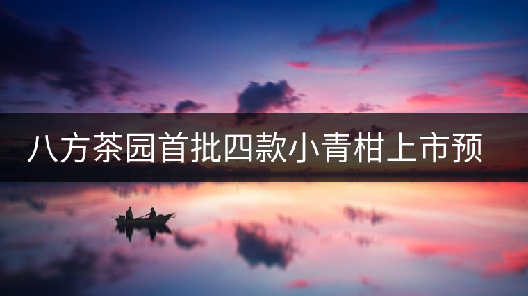 八方茶園首批四款小青柑上市預告 八方茶園首批四款小青柑上市預告