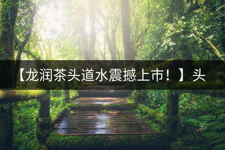 【龍潤茶頭道水震撼上市！】頭道水，二道茶，三道四道是精華！