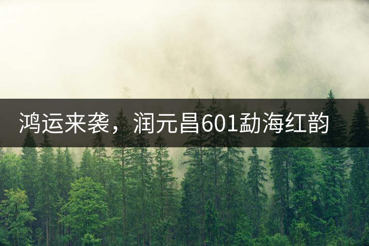 鴻運(yùn)來襲，潤元昌601勐海紅韻熟茶即將上市