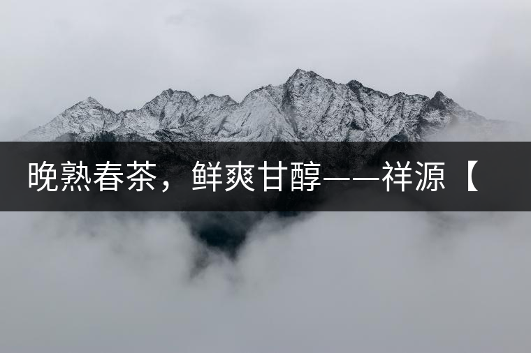 晚熟春茶，鮮爽甘醇——祥源【政和大白】清鮮上市