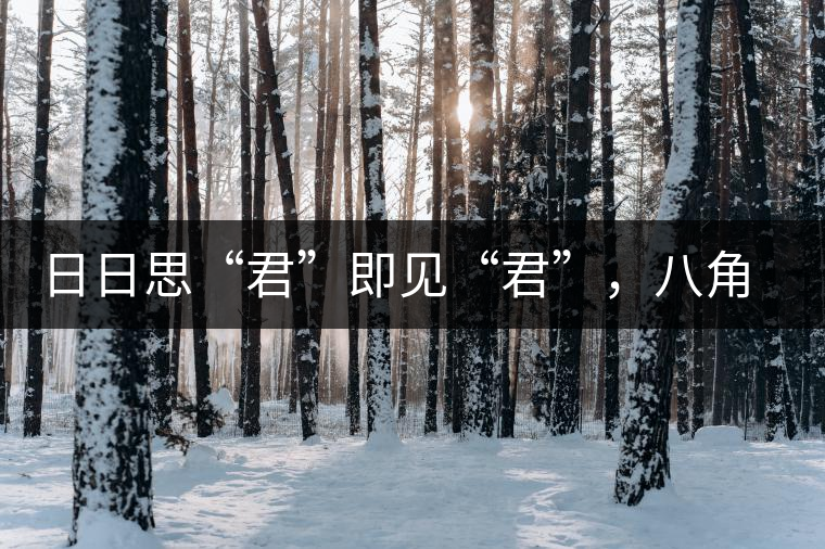 日日思“君”即見(jiàn)“君”，八角亭竹筒茶君子即將上市