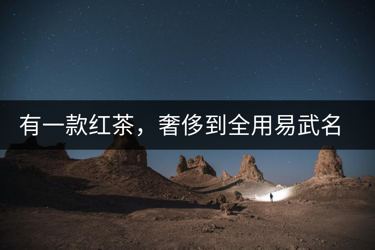 有一款紅茶，奢侈到全用易武名寨古樹茶發(fā)酵！