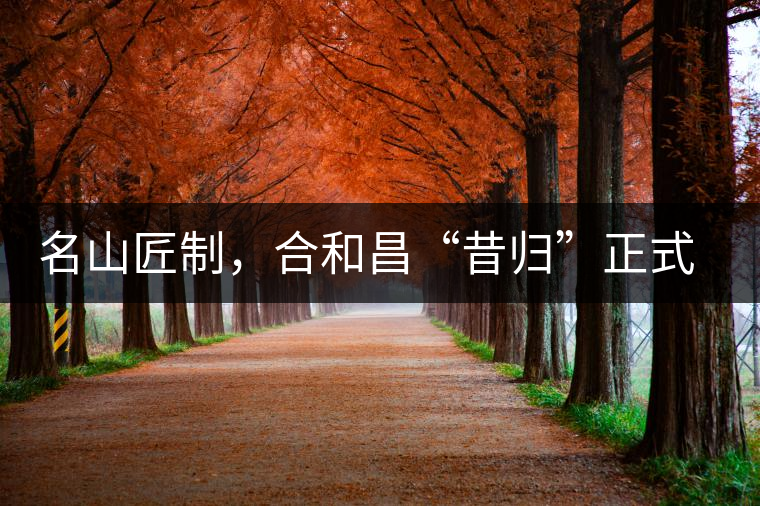 名山匠制，合和昌“昔歸”正式上市