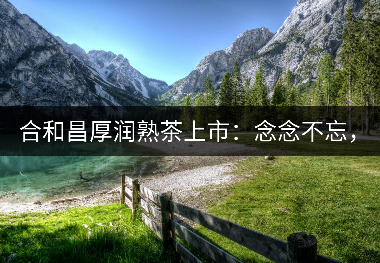 合和昌厚潤熟茶上市：念念不忘，必有回響！