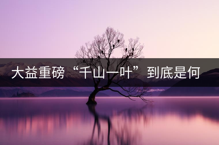 大益重磅“千山一葉”到底是何方神圣？