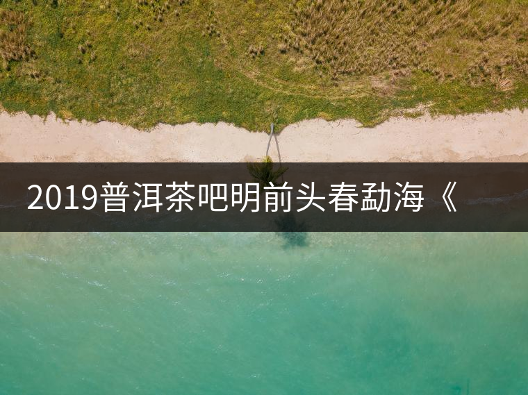 2019普洱茶吧明前頭春勐?！对鹿獍住钒撞鑳?yōu)惠訂購(gòu)