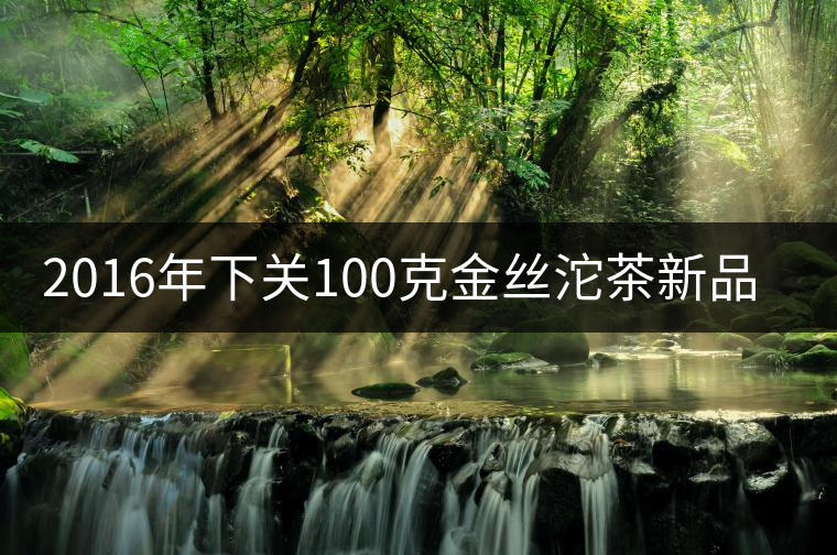 2016年下關100克金絲沱茶新品上市 2016年下關100克金絲沱茶新品上市