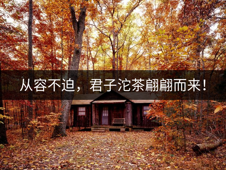 從容不迫，君子沱茶翩翩而來！