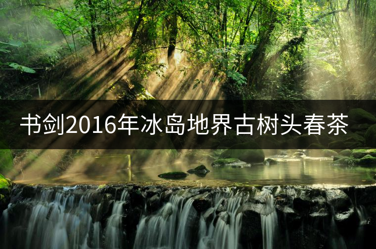 書劍2016年冰島地界古樹頭春茶隆重上市！