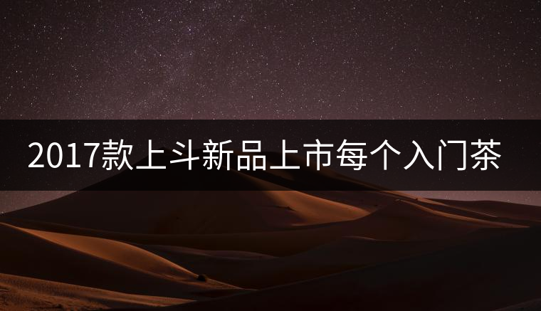2017款上斗新品上市每個(gè)入門茶人都欠自己一餅上斗！