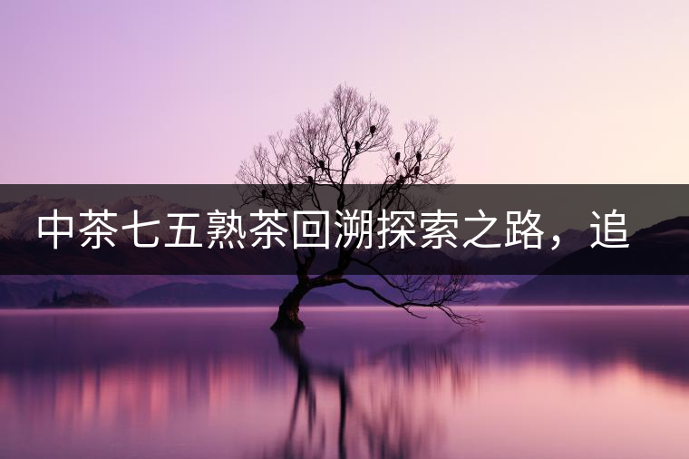 中茶七五熟茶回溯探索之路，追尋歷史印跡